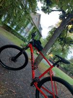 Mountainbike Giant Talon Hessen - Dillenburg Vorschau