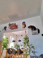 Katzen Kraztreppe Niedersachsen - Zetel Vorschau