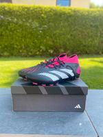 Adidas Predator Fußballschuhe Sachsen - Parthenstein (bei Grimma) Vorschau