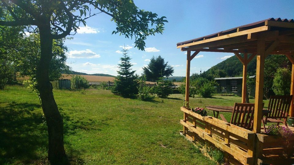 Schönes Gartengrundstück Garten 800 m² zu verpachten zu vermieten in