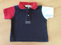 Polo-Shirt "Esprit" Gr. 62 Bayern - Traitsching Vorschau
