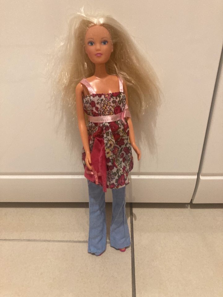 Barbie Konvolut in Surwold