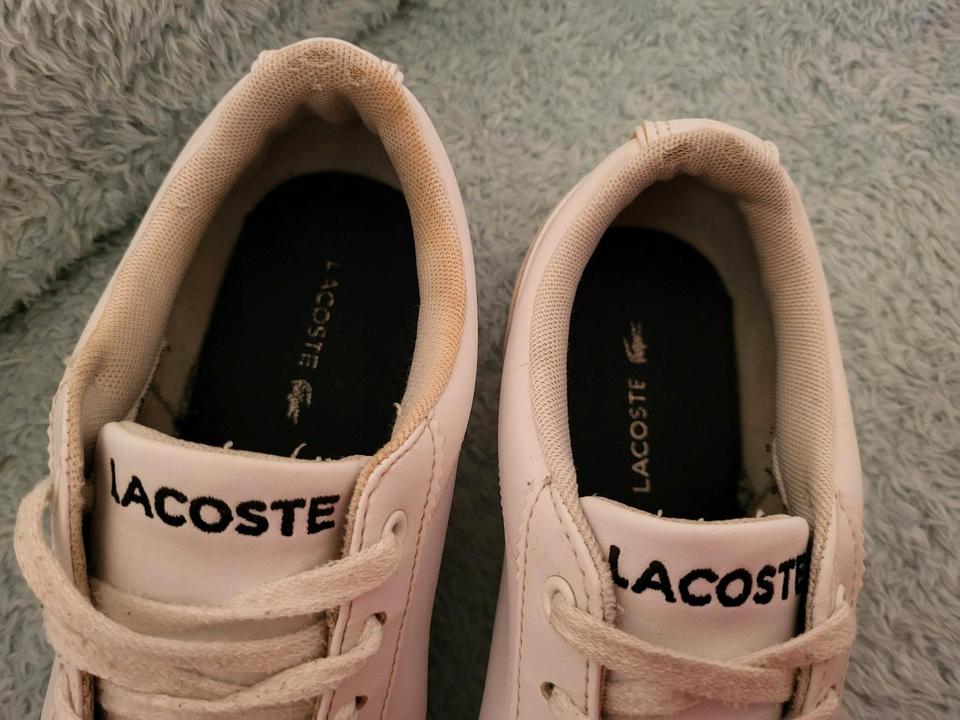 Orig. Lacoste Schuhe Sneaker Gr.37 Sportschuhe Tennisschuhe in Braunschweig