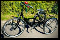 Dreirad für Erwachsene Pfautec Lasten- Fahrrad Pfiff Prov Mecklenburg-Vorpommern - Bergen auf Rügen Vorschau