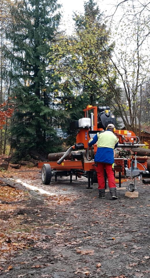 Mobiles Sägewerk/ Lohnschnitt in Grünhainichen