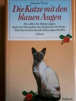 Die Katze mit den blauen Augen, Felidae u.a. Rheinland-Pfalz - Bad Kreuznach Vorschau