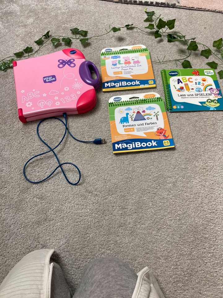 Magic Book Vtech Rosa in Schleswig-Holstein - Neuengörs