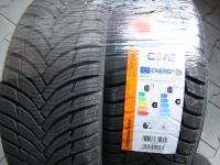 Ceat 4Season 185/65 R15 88H Allwetterreifen M+S by Pirelli Neu! Rheinland-Pfalz - Ockenheim Vorschau