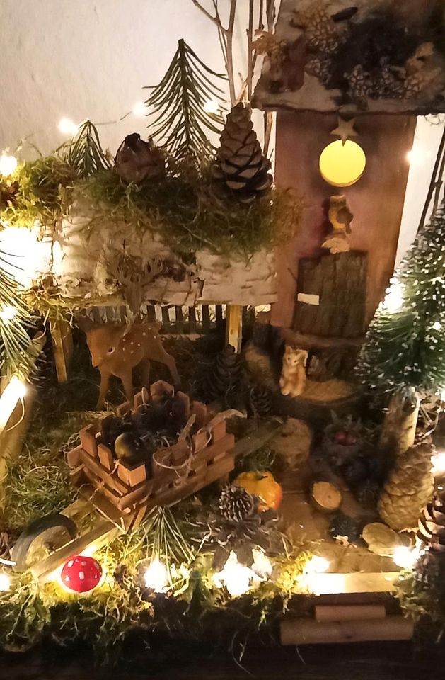 Wichtelhaus Wichteltür Weihnachtsdeko Feenhaus Gnom in Köln