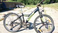 Mountainbike Fahrrad meines Sohnes, Raleigh Max 26" mit 21 Gängen Mecklenburg-Vorpommern - Altenpleen Vorschau