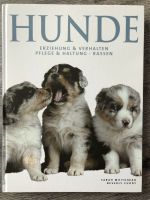 Hunde - Erziehung + Verhalten, Pflege + Haltung, Rassen Niedersachsen - Pennigsehl Vorschau