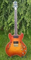 Daion Headhunter HH 555 Guitar incl. original Case Duisburg - Neumühl Vorschau