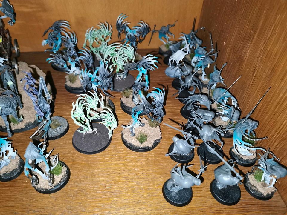 Große Nighthaunt Armee AoS Warhammer in Otterndorf