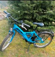 Kinderfahrrad 20" Triumph Riva Niedersachsen - Springe Vorschau