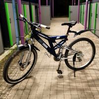 Fahrrad mit Defekt. Baden-Württemberg - Vaihingen an der Enz Vorschau