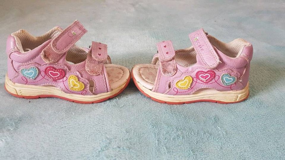 ♥️2 Mädchen Schuhe Größe 21, Elefanten, Cupcake, Crocs♥️ in Radeberg