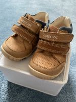 Geox Kinderschuhe Gr. 19 Berlin - Spandau Vorschau