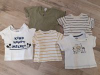 T-Shirts Gr. 62/68 Sachsen-Anhalt - Magdeburg Vorschau