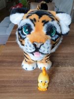 HASBRO FurReal Friends - Tiger Tyler „der Königstiger“ Frankfurt am Main - Nordend Vorschau