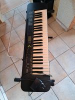 Keyboard Casio CTK-240 mit Ständer, 90 € Baden-Württemberg - Korb Vorschau