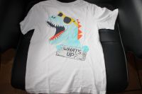 C&A T-Shirt Dino 140 Bayern - Krombach Vorschau