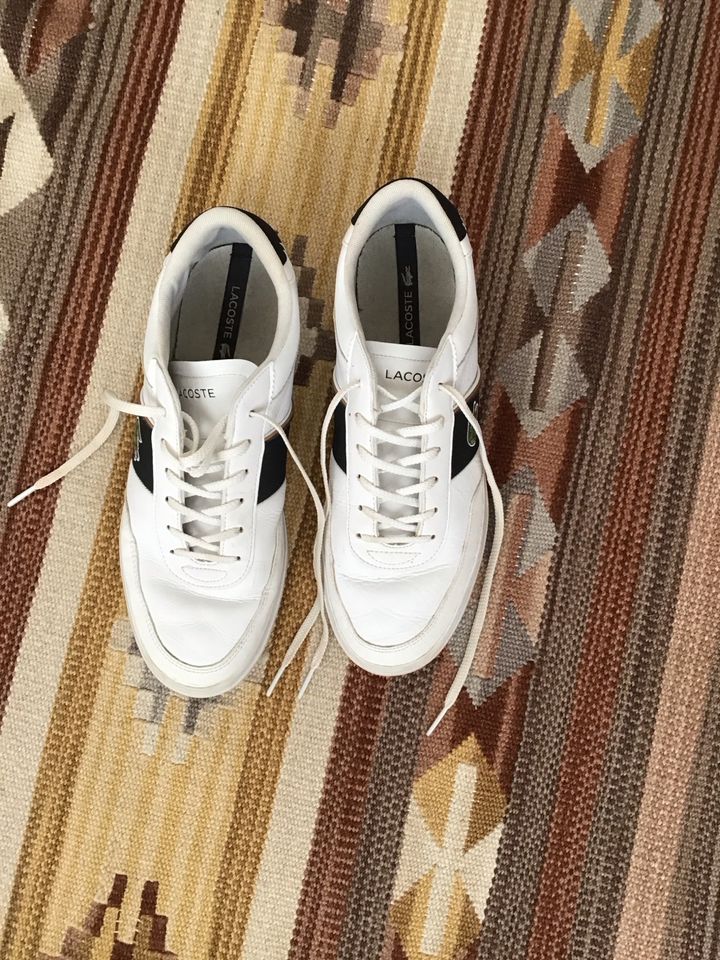 Lacoste Sneaker Größe 41 !sehr guter Zustand! in Wissen
