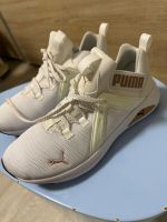 Puma Sportschuhe Gr. 39 Nordrhein-Westfalen - Stolberg (Rhld) Vorschau