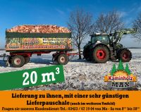 ab 4 m³ bis zu 35 m³ und  bis 50 km um 04435 Schkeuditz, Markranstädt, Delitzsch -   Kaminholz, Brennholz, Feuerholz, Holzvergaser, Kamin, Holz, Feuer, Brenn Sachsen - Schkeuditz Vorschau