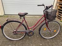 Damenrad der Marke Pegasus Schleswig-Holstein - Kappeln Vorschau
