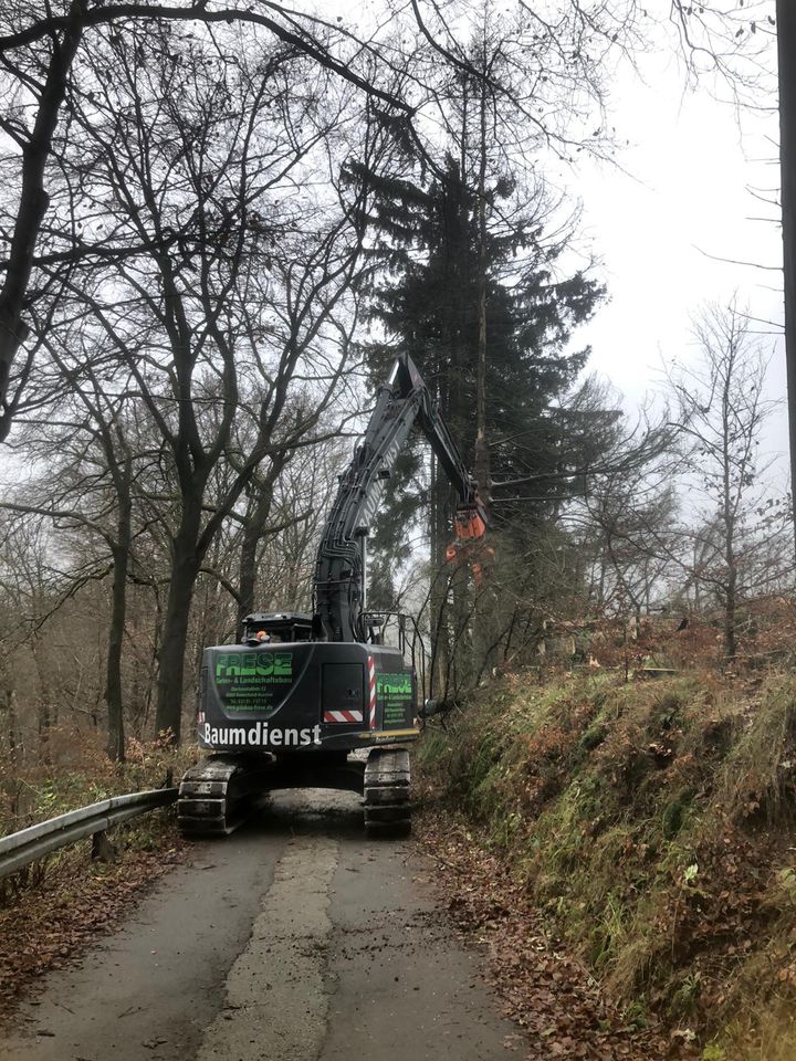 Hitachi ZX225 USLC-5B Fällbagger Westtech woodcracker CS 580 S in Remscheid