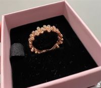 Pandora Gänseblümchen Ring Rosegold 52 Essen - Essen-Kettwig Vorschau