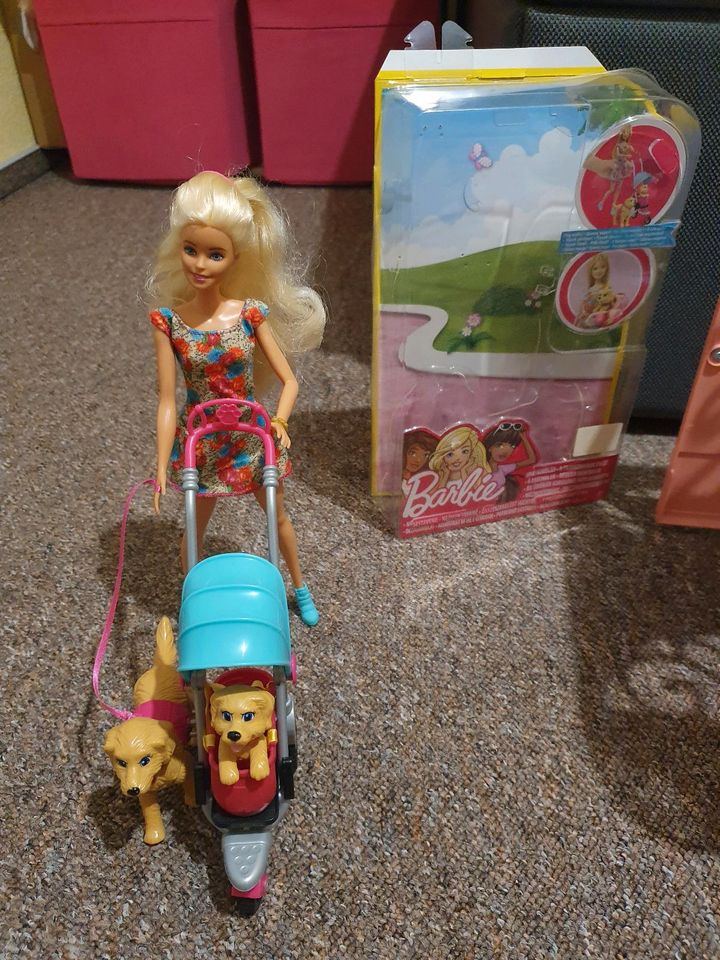 Mattel Barbie CNB21  Hundebaby-Ausflug in Walsrode