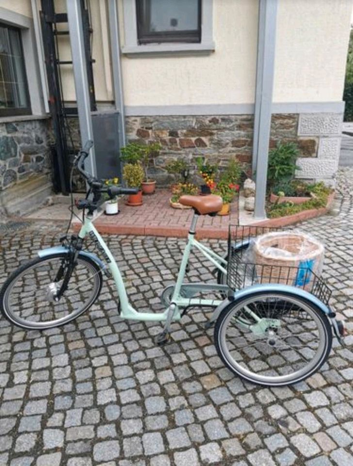 Ebike Dreirad neu in Werdau