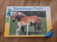 Ravensburger Puzzle Pferde Haflinger (300 Teile) Bayern - Gersthofen Vorschau