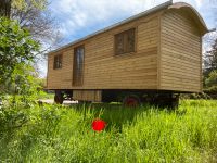 Bauwagen Zirkuswagen Tiny House  8 m Sachsen - Klipphausen Vorschau