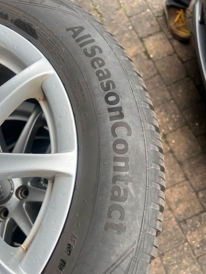 Alufelgen mit Allwetterreifen für Audi TT 225/55r16 Continental in Abstatt