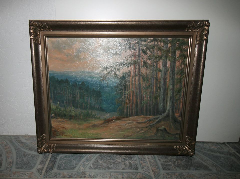 Bild mit massiven Holzrahmen Rahmen Wandbild 76x87cm in Theismühlen