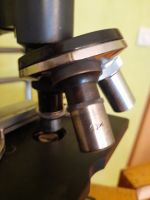 Mikroskop in Holz Trage,- u. Aufbewahrungskiste Sachsen-Anhalt - Zeitz Vorschau