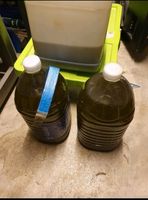 Bio Olivenöl aus eigener Herstellung Hessen - Offenbach Vorschau