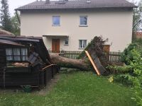 Baumfällung und Sturmschadenbeseitigung Bayern - Ansbach Vorschau