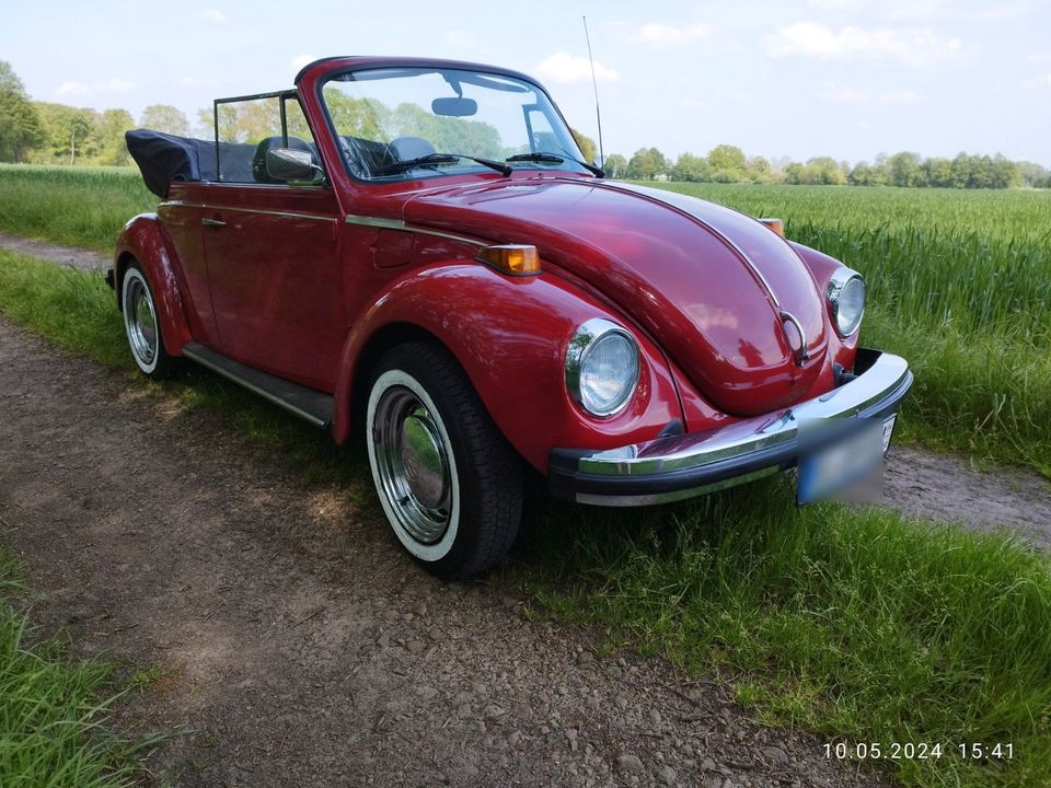 Volkswagen Käfer in Beesten
