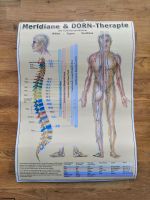 Dorn-Therapie Dorn Methode Meridiane Naturheilkunde Niedersachsen - Wedemark Vorschau