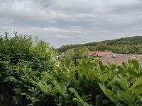 Souterrain Wohnung Nordrhein-Westfalen - Tecklenburg Vorschau