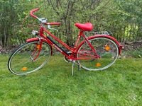 Arabella Damenfahrrad ✦ Studentenrad ✦ Retro ✦ Vintage ✦ Hessen - Grebenau Vorschau