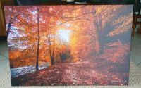 Wandbild Wohnzimmerbild auf Leinwand 120 x 80 *Neu* Thüringen - Bad Salzungen Vorschau