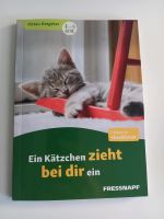 Ratgeber Kitten | Buch Berlin - Tempelhof Vorschau