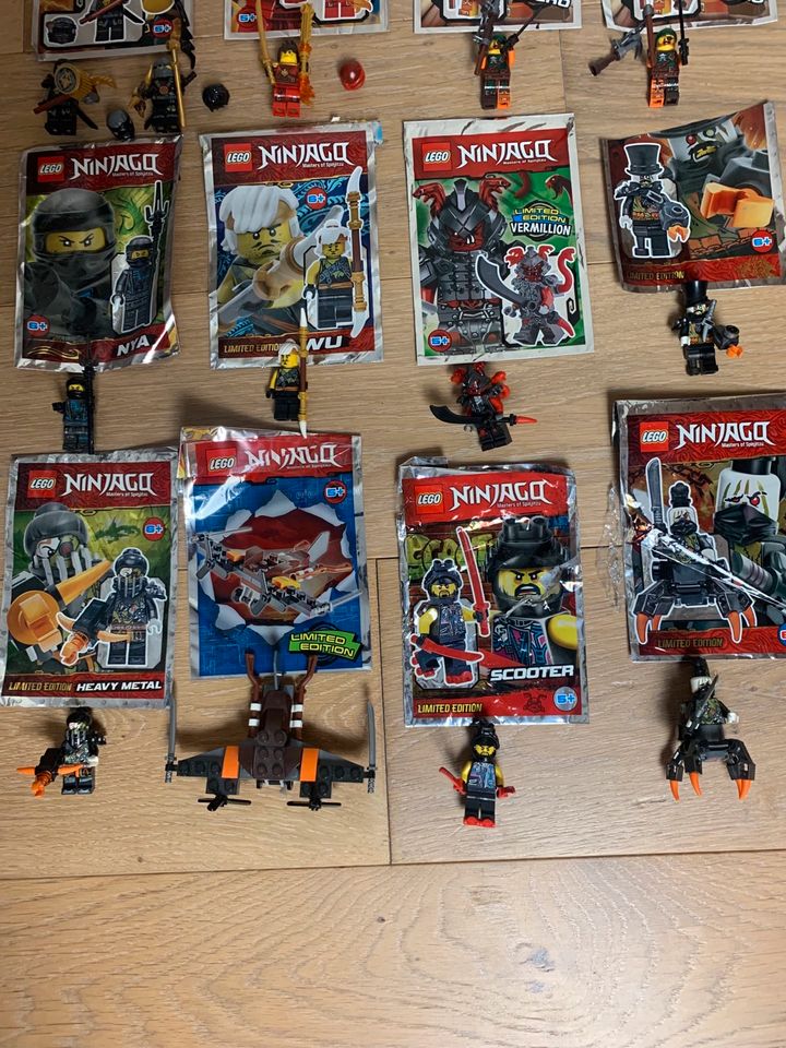 21 Figuren LEGO Ninjago- Limited Edition in Südlohn