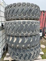 Reifen / Radladerreifen / 20.5 R25 / Michelin Niedersachsen - Vienenburg Vorschau