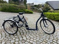 Pfautec Napoli Elektro Dreirad / E Bike / Fahrrad / Seniorenrad Schleswig-Holstein - Harrislee Vorschau