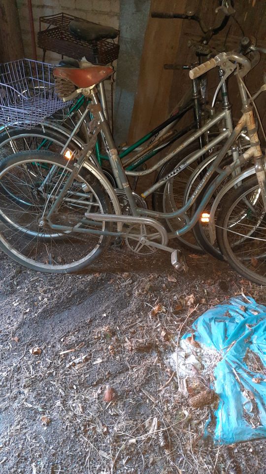5 Stück Fahrrad Fahrräder Konvolut Sammlung DDR Scheunenfund in Wenddorf